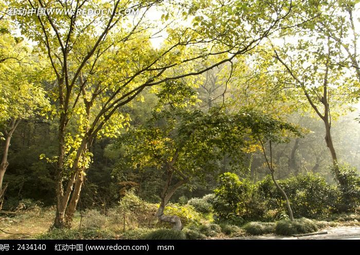 ��������·���ϵ����־�ɫͼƬ