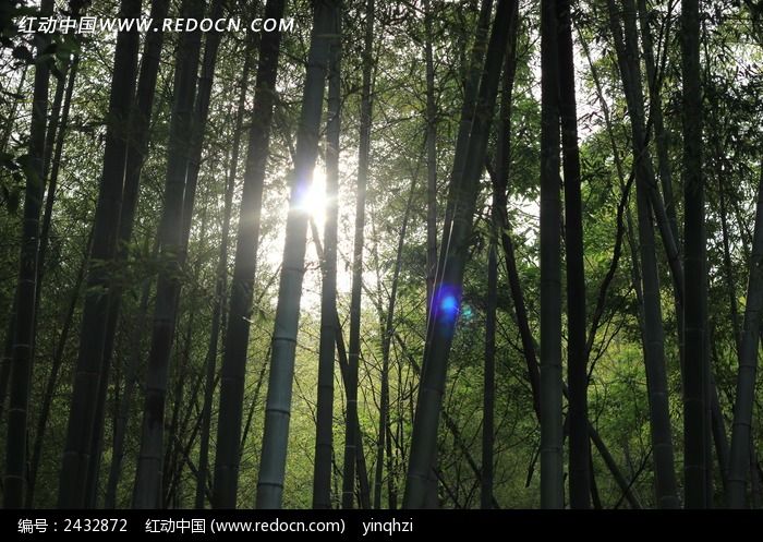 �����µ�����ͼƬ