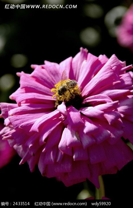 ͣ�ڻ��ٵ��۷�ͼƬ