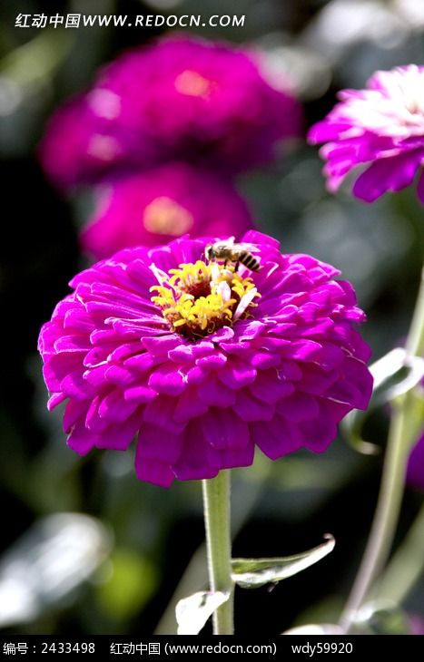 �۷����ͼƬ