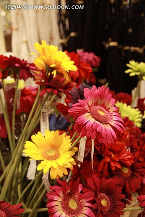 ����ɫ�Ļ�