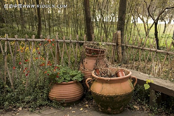 �����羰����