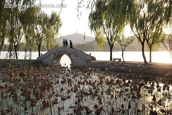 �����ϲк�