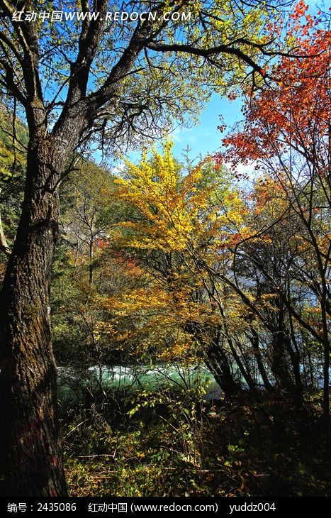 ��ƺ�����ͼƬ