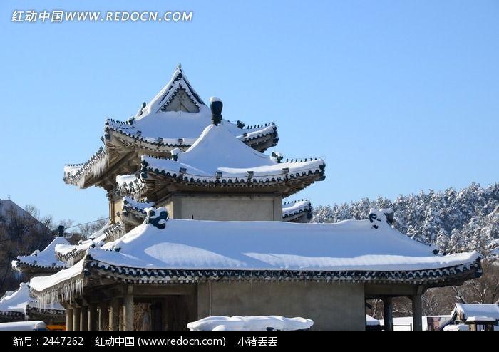 ������¥����ͼƬ