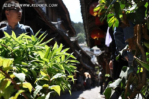 ������ýֵ�