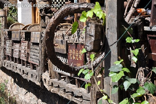 ���Ƶ�����