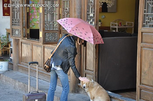 ��ɡ��Ů��