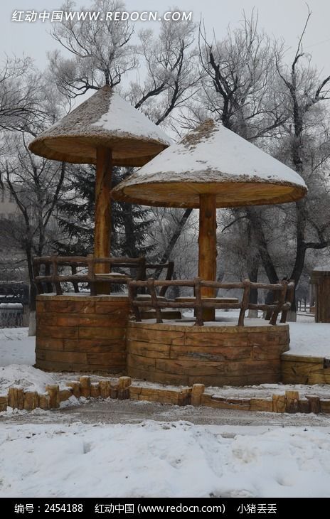 ���ŵ�Ģ����ͤͼƬ