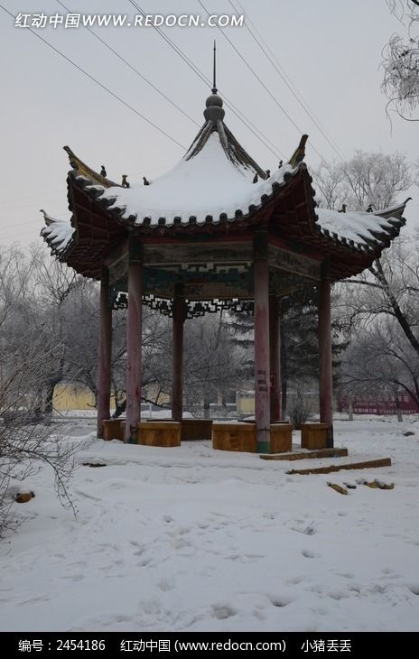 ѩ���ϵİ˽���ͤͼƬ