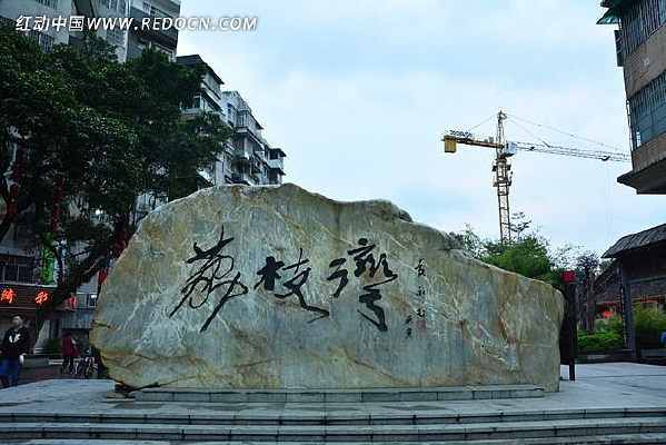 ����������֦��