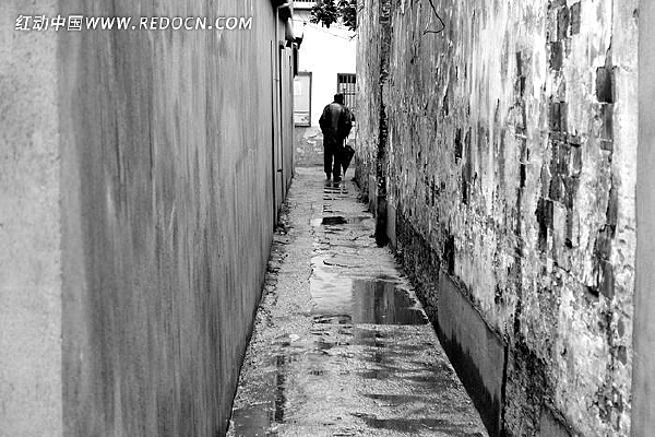 ����С��