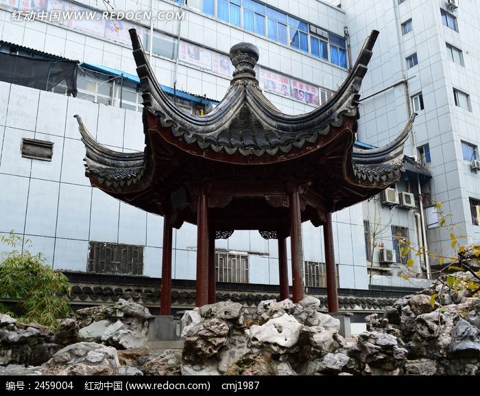 ����԰�ĺ�ȻͤͼƬ