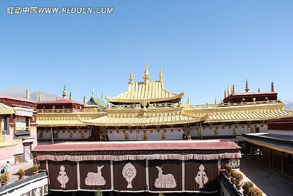 �����µĽ�