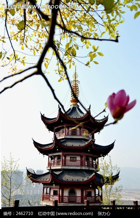 ������¡����ͤ��ͼƬ