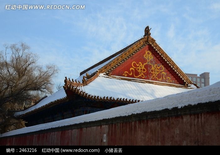 ����ƫ������ͼƬ