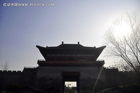 �����µĹų���