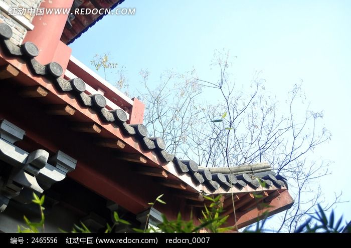 ����һ��ͼƬͼƬ