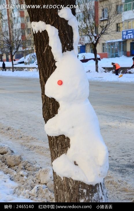 树上的雪兔子