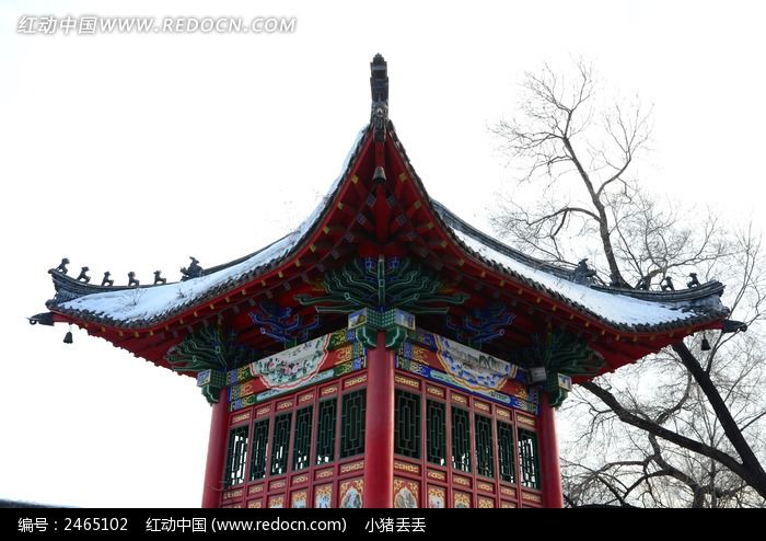 ������Ľ���ͤͼƬ