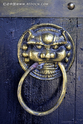 ʨ������