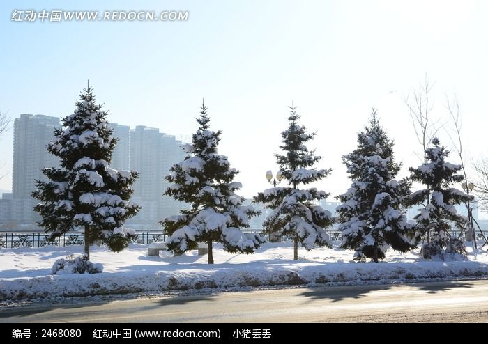 ��ѩ���ǵ�����ͼƬ