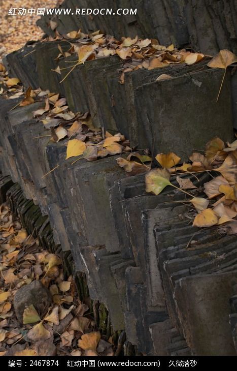 ����Ҷ�¶ѷŵ�����ƬͼƬ