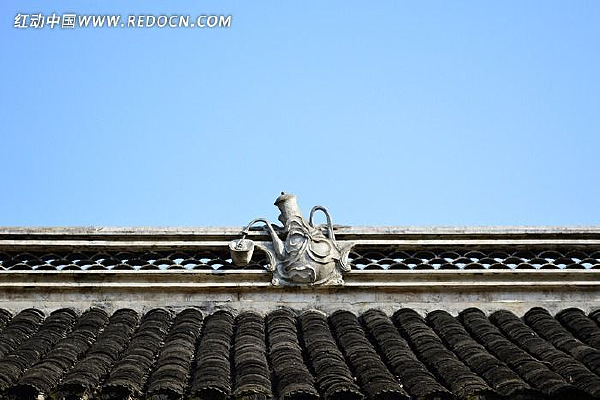 �Ž����ݶ�����