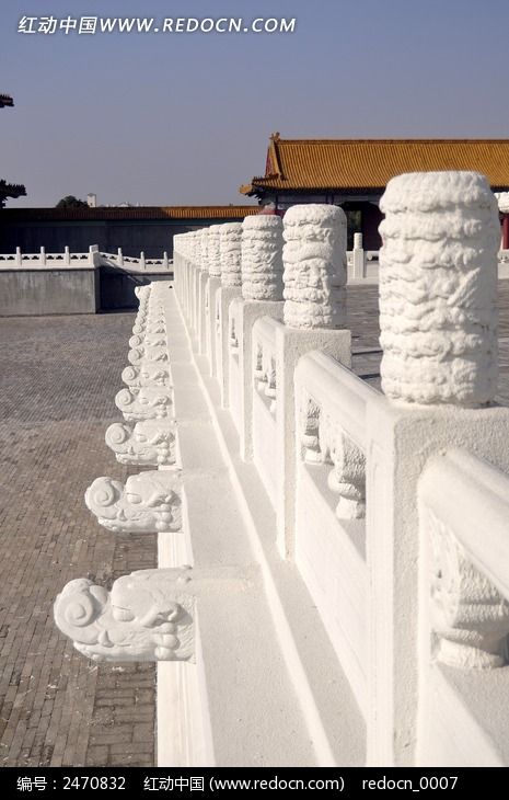 �����ϵ���׵���ͼƬ