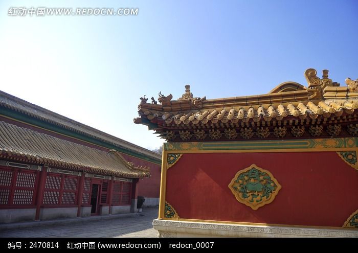 ��¾���òͼƬ