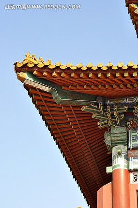 ��̻Ի͵�����