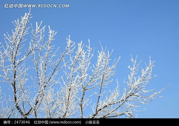 �����½�׵�����ͼƬ