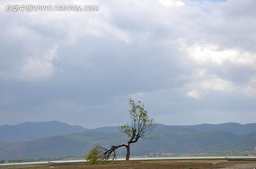 �¶�����