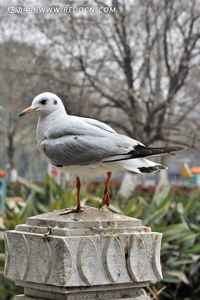 �����������Ÿ