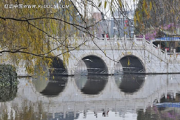 ������⹫԰