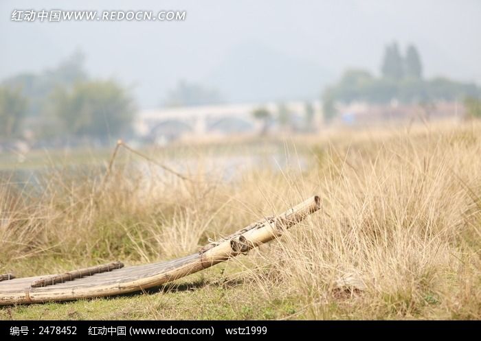 ����ݵ��ϵ���ͼƬ