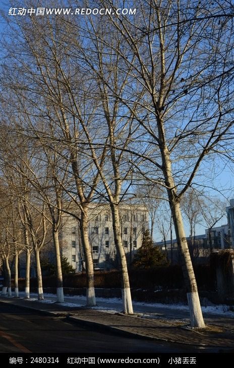 �����µĿ���ͼƬ