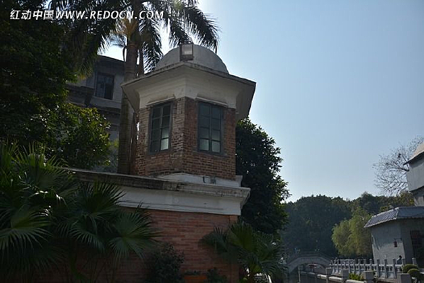 �Ϲ���֦��