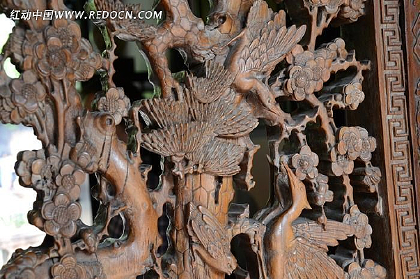 �Ϻ���ҽ���