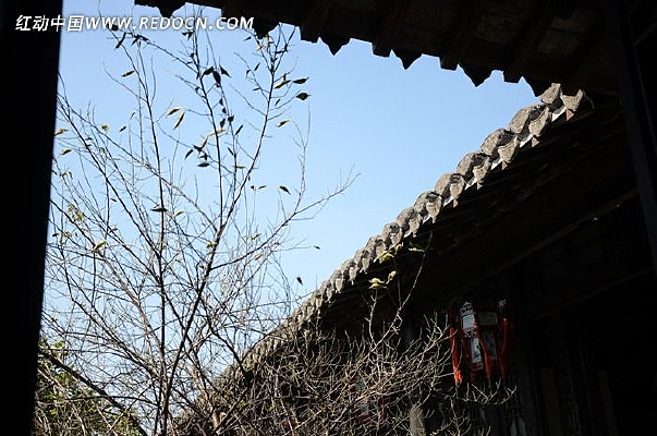 �й���Ժ��