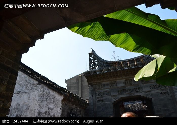 �����µ���������ͼƬ