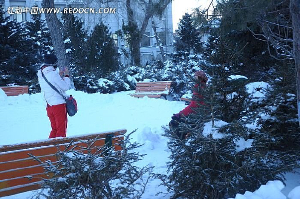 ѩ������