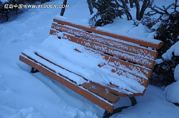 ��ɫ����