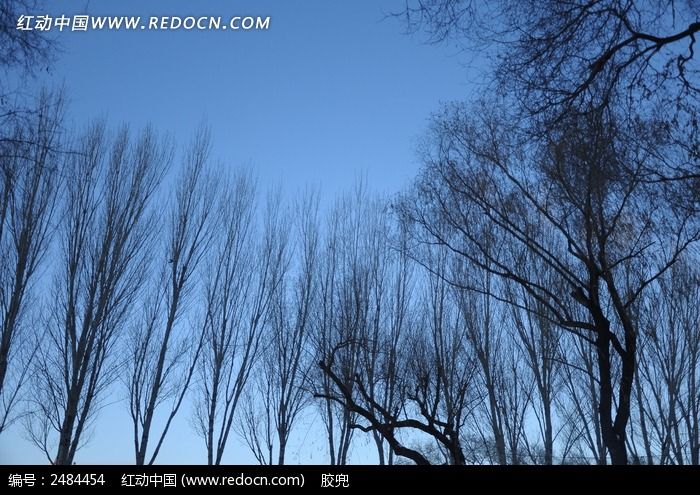 ������������������ͼƬ