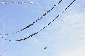 �Ŷӵ�����