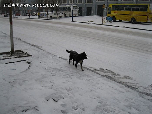 ���ܵĺ���