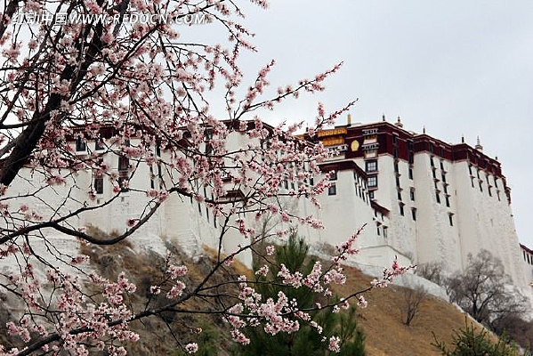 ����������ɫ