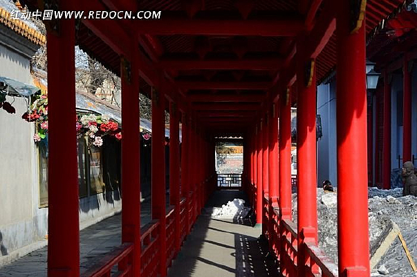 �ŵ���Բ��