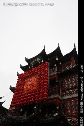 ����������¥