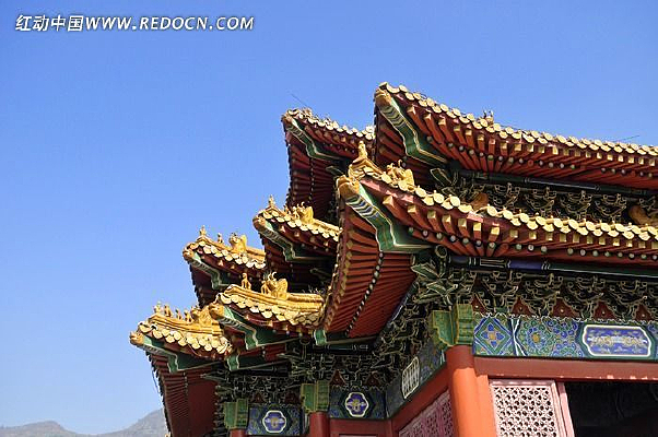 ��ɫ���ܽ�